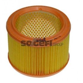 Purflux Partner Berlingo P306 Xsara Xud9 Dw8 P205 P309 Xud7t Hava Filtresi