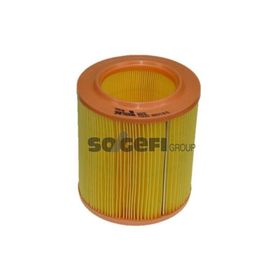 Purflux Renault Rapid 1.9 D 54hp 94 98 Hava Filtresi