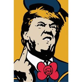 Pyramid International Maxi Tvboy Donald Poster