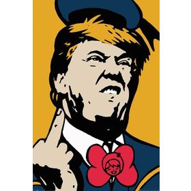 Pyramid International Maxi Tvboy Donald Poster