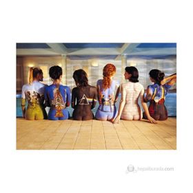 Pyramid International Pink Floyd Back Catalogue Maxi Poster