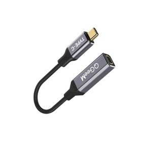 Qgeem QG-UA08 Siyah Type-C to Mini Display Dönüştürücü