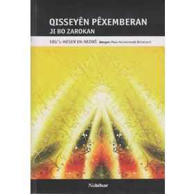 QISSEYEN PEXEMBERAN JI BO ZAROKAN - GENEL