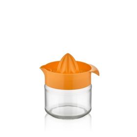 Qlux Fresia Asorti 300 ml Desenli Limonluk