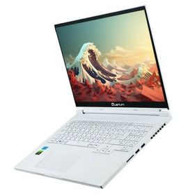 Quantum WhiteFang G5040 QNNTB10F007322 i5-13420H 8GB RAM 256GB SSD 4GB RTX 3050 FreeDOS 16 inç Oyun Bilgisayarı