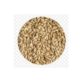 Quik Aspur 300 gr Kuş Yemi