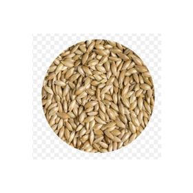 Quik Aspur 300 gr Kuş Yemi