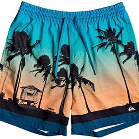Quiksilver 23451 Erkek Pardsvly17 M Jamv Bsm6 Şort Mayo