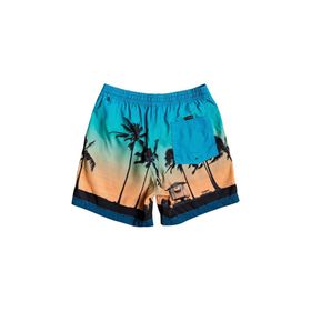Quiksilver 23451 Erkek Pardsvly17 M Jamv Bsm6 Şort Mayo