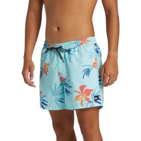 Quiksilver AQYJV03147 Everyday Mix Volley 15 Mavi Erkek Mayo Şort