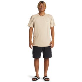 Quiksilver AQYZT09563-THZ0 Bej Erkek T-shirt