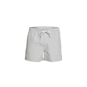 Quiksilver EQYJV03531 Everyday 15 Erkek Volley Şort