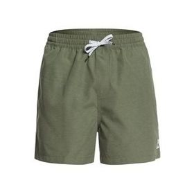 Quiksilver EQYJV03531-GPHH Erkek Şort Mayo