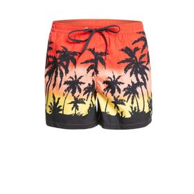 Quiksilver EQYJV03861 Everyday Paradise Volley Normal Bel Desenli Mavi Erkek Şort Mayo