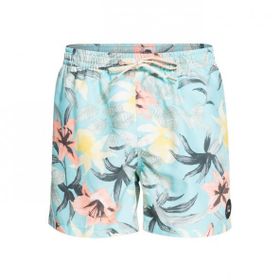 Quiksilver EQYJV03867 Everyday Garden Path Vol Normal Bel Desenli Bej Erkek Şort Mayo