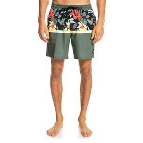 Quiksilver EQYJV03891B Division 17 Yeşil Erkek Deniz Şort