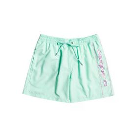 Quiksilver EQYJV03987 Vert 16 M Jamv Erkek Şort Mayo