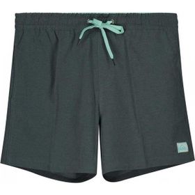 Quiksilver EQYJV03993 Surfsilk 16 M Jamv Gri Erkek Şort
