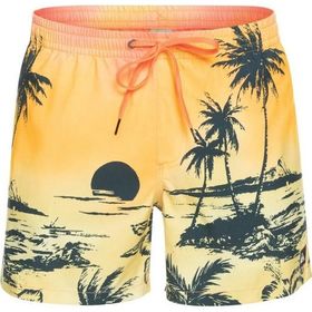 Quiksilver Eqyjv03999 Paradise 15 M Jamv Erkek Şort Mayo