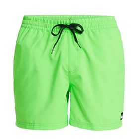 Quiksilver EQYJV04120-GGY0 Everyday Solid Yeşil Erkek Deniz Şortu