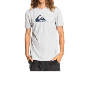 Quiksilver EQYZT06534 Complogo Tees Pembe Erkek T-shirt