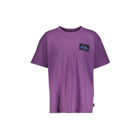 Quiksilver EQYZT07605-PMP0 Mor Erkek T-shirt