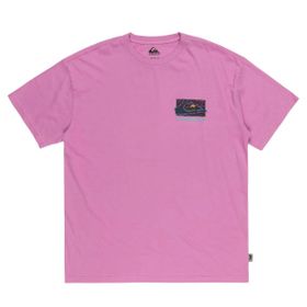Quiksilver EQYZT07653-PMP0 Spin Cycle Ss Pembe Erkek T-shirt