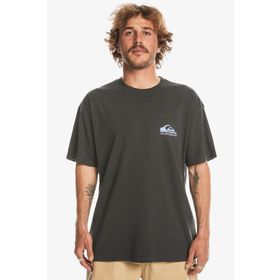Quiksilver EQYZT07654-12814 Gri Erkek T-shirt