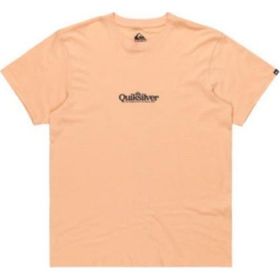Quiksilver EQYZT08062-MEF0 Fineline Ss Erkek Spor Tişört