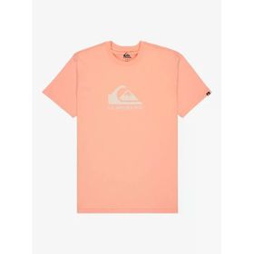 Quiksilver EQYZT08072-MEF0 Ev Comp Logo Ss Erkek Spor Tişört