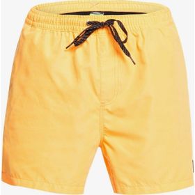 Quiksilver Evdayvl15 Erkek Mayo