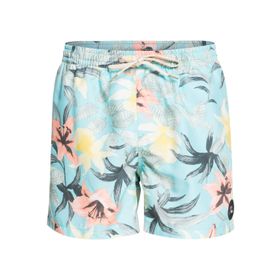 Quiksilver Everyday Garden Path Volley 15 Erkek Volley Short
