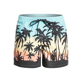 Quiksilver Everyday Paradise Volley 15 Erkek Volley Şort