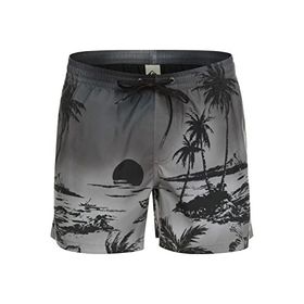 Quiksilver Everyday Paradise Volley 15 Erkek Volley Şort