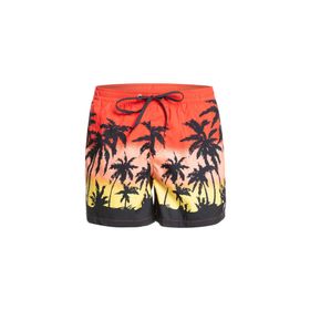 Quiksilver Everyday Paradise Volley 15 Erkek Volley Şort