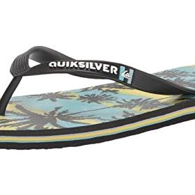 Quiksilver Molokai Art Mavi 3 Erkek Sandalet