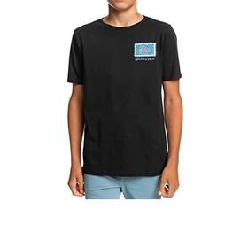 Quiksilver Radical Roots Ss Yth Erkek Çocuk T-shirt