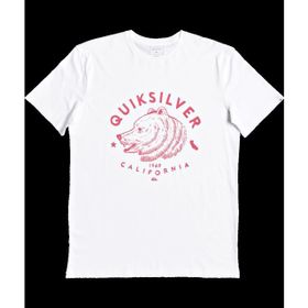 Quiksilver WBB0 Beyaz Readbetween Tees Erkek T-shirt