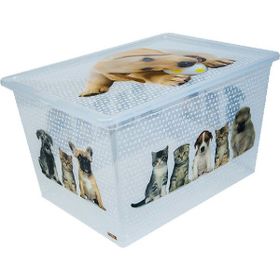 Qutu 50 lt Kedi Köpek Saklama Kutusu