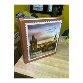 Rabsev RS19 10x15 cm 500 Fotoğraf Kapasiteli Lüx Desenli Kutusuz Fotoğraf Albümü