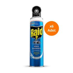 Raid 6x300 ml Sineksavar