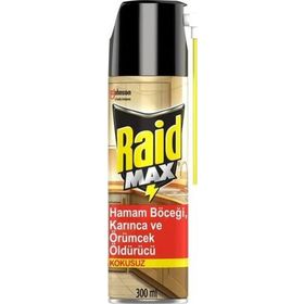 Raid Böceksavar Max 300 ml Hamam Böceği Karınca ve Örümcek Öldürücü Raid