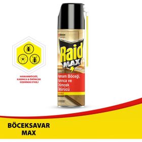 Raid Böceksavar Max 300 ml Hamam Böceği Karınca ve Örümcek Öldürücü Raid
