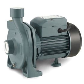 Rain Pump CPM146 Santrifuj Pompası