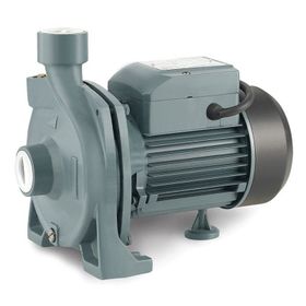 Rain Pump CPM170 Santrifuj Pompası