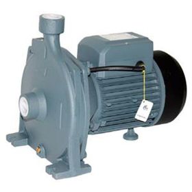 Rain Pump CPM170 Santrifuj Pompası