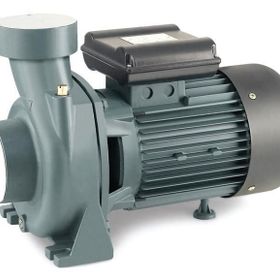 Rain Pump SHFM6C Monofaze Santrifüj Pompası