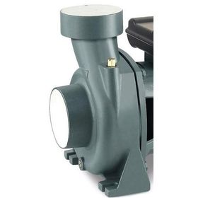 Rain Pump SHFM6C Monofaze Santrifüj Pompası