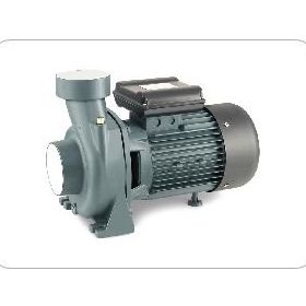 Rain Pump SHFM6C Monofaze Santrifüj Pompası