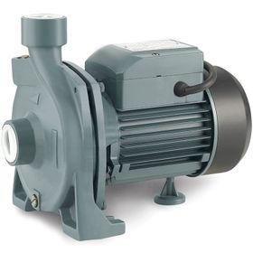 Rainpump CPM158 Santrifuj Pompa